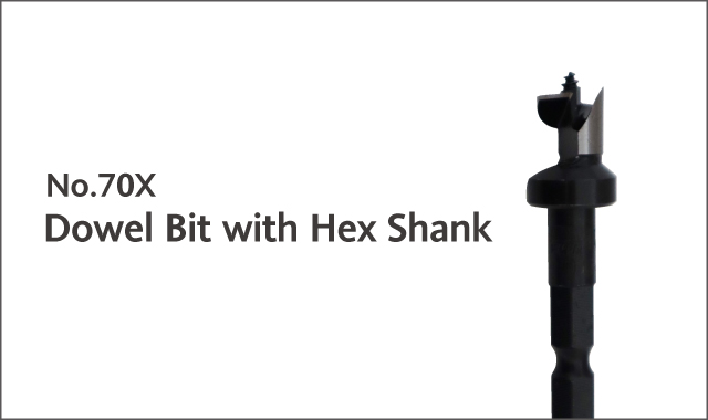 dowel bit with hex shank