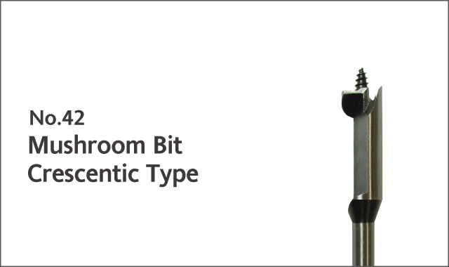 mushroom bit crescentic type