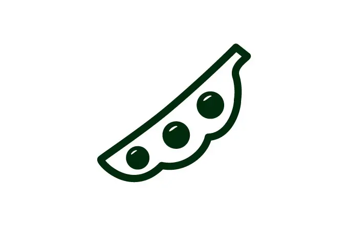 ちょこっと豆知識