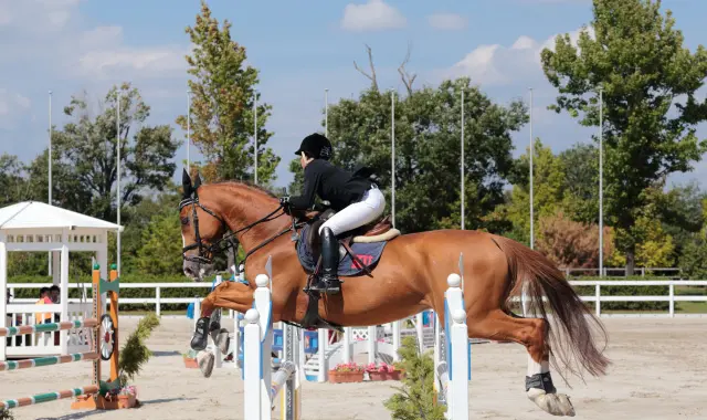 ホースランドパーク